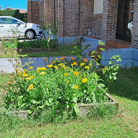 Casa Grande Con Jardin Villa Santa Cruz De Bezana Dış mekan fotoğraf